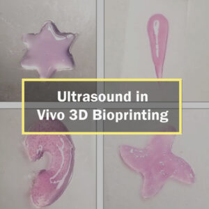 Four pink cell-laden scaffolds (star, droplet, ear and starfish) printed via focused ultrasound in vivo bioprinting