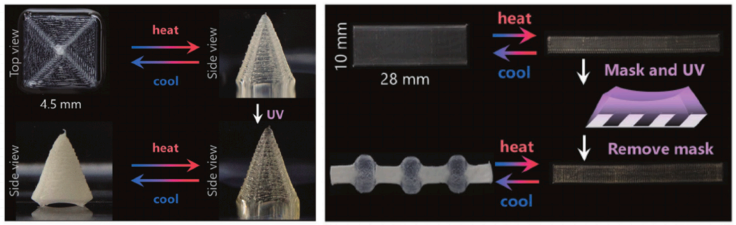 Microscopic view of a liquid crystal elastomer (LCE) structure before and after UV light exposure, showing reversible shape change under light stimulus.
